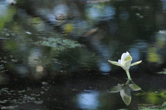 photography art